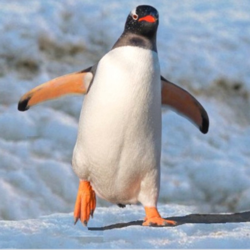 Meet your Posher, Katherine